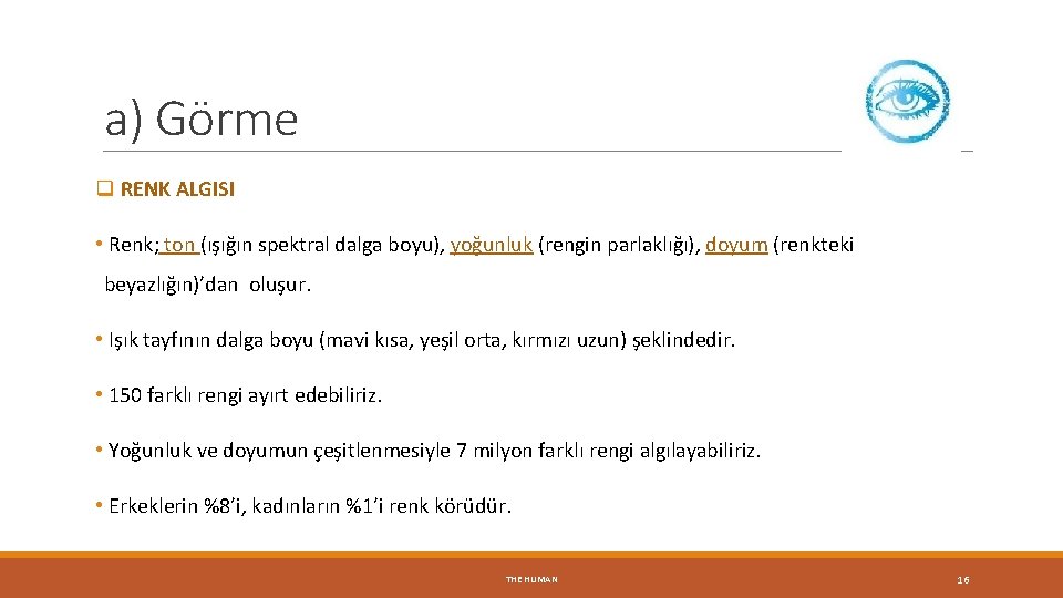 a) Görme q RENK ALGISI • Renk; ton (ışığın spektral dalga boyu), yoğunluk (rengin