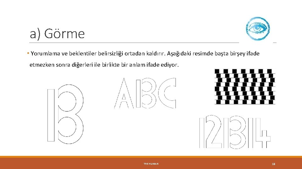 a) Görme • Yorumlama ve beklentiler belirsizliği ortadan kaldırır. Aşağıdaki resimde başta birşey ifade