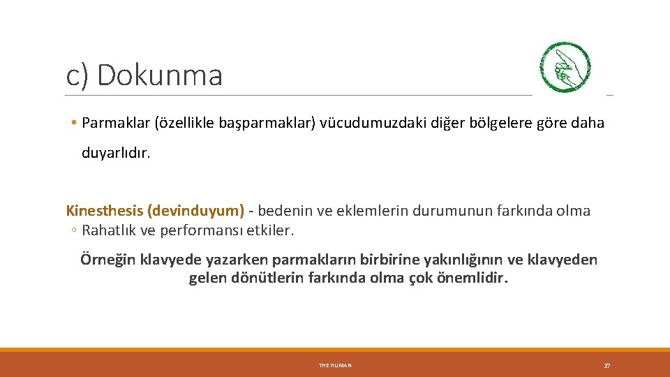 c) Dokunma • Parmaklar (özellikle başparmaklar) vücudumuzdaki diğer bölgelere göre daha duyarlıdır. Kinesthesis (devinduyum)
