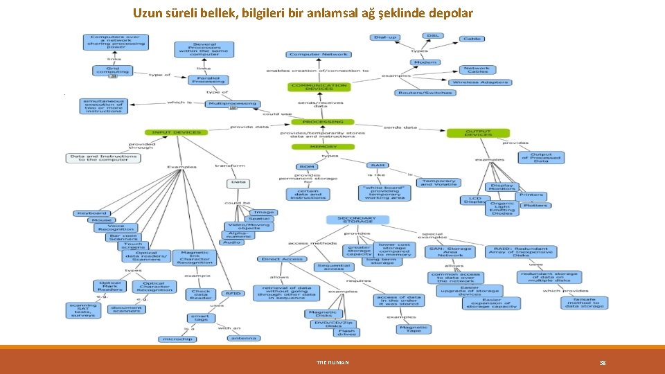 Uzun süreli bellek, bilgileri bir anlamsal ağ şeklinde depolar c) Uzun Süreli Bellek THE