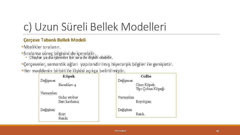 c) Uzun Süreli Bellek Modelleri Çerçeve Tabanlı Bellek Modeli • Nitelikler sıralanır. • Sıralama