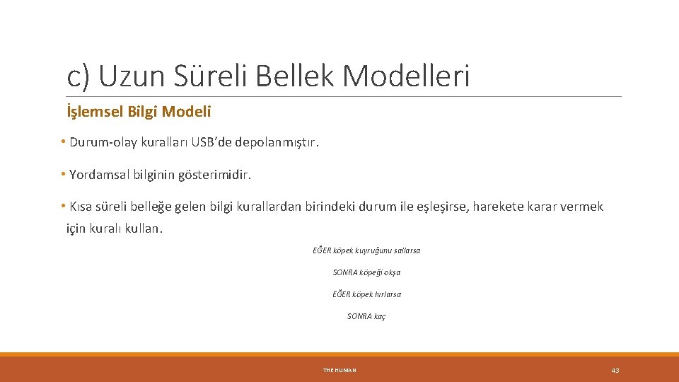 c) Uzun Süreli Bellek Modelleri İşlemsel Bilgi Modeli • Durum-olay kuralları USB’de depolanmıştır. •