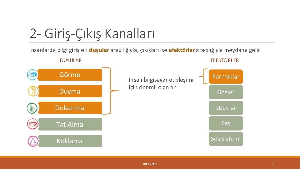 2 - Giriş-Çıkış Kanalları İnsanlarda bilgi girişleri duyular aracılığıyla, çıkışları ise efektörler aracılığıyla meydana