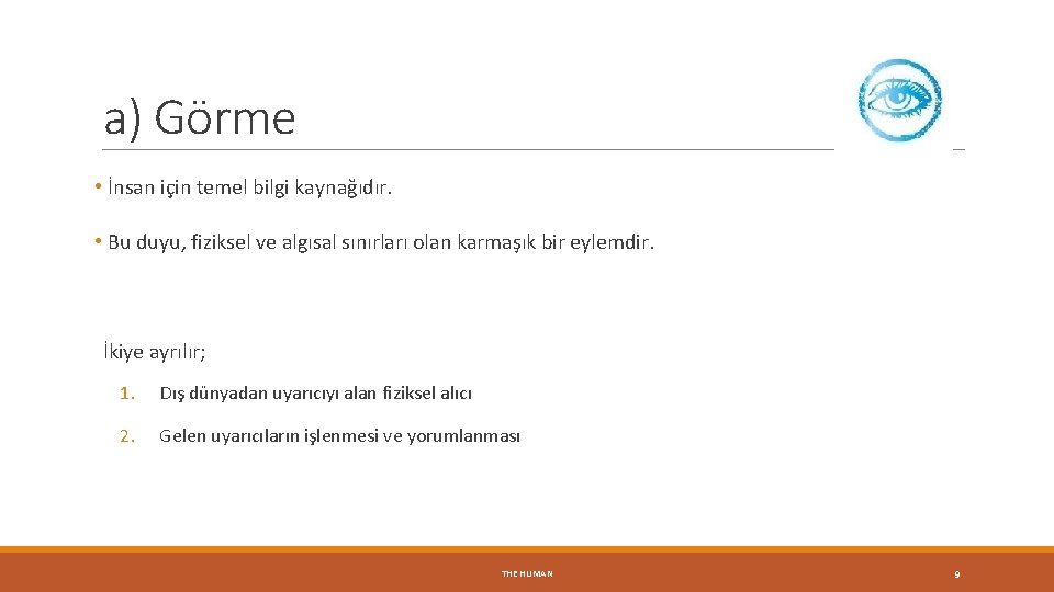 a) Görme • İnsan için temel bilgi kaynağıdır. • Bu duyu, fiziksel ve algısal