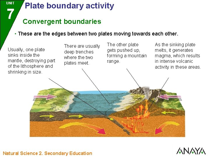 UNIT 7 Plate boundary activity Convergent boundaries • These are the edges between two