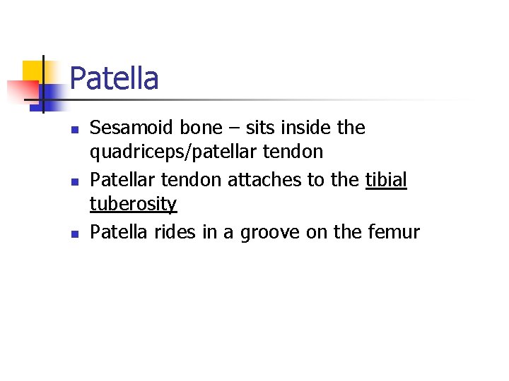 Patella n n n Sesamoid bone – sits inside the quadriceps/patellar tendon Patellar tendon