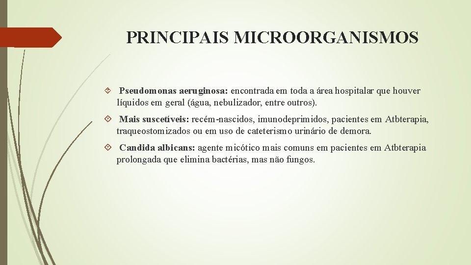 PRINCIPAIS MICROORGANISMOS Pseudomonas aeruginosa: encontrada em toda a área hospitalar que houver líquidos em