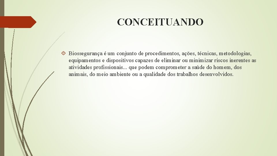 CONCEITUANDO Biossegurança é um conjunto de procedimentos, ações, técnicas, metodologias, equipamentos e dispositivos capazes