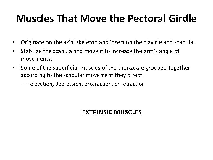 Muscles That Move the Pectoral Girdle • Originate on the axial skeleton and insert