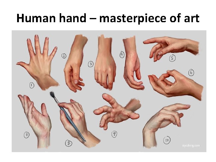 Human hand – masterpiece of art 