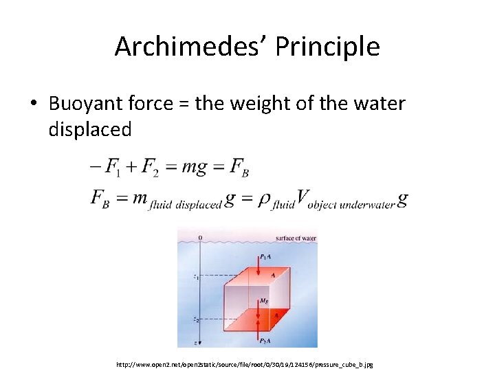 Archimedes’ Principle • Buoyant force = the weight of the water displaced http: //www.
