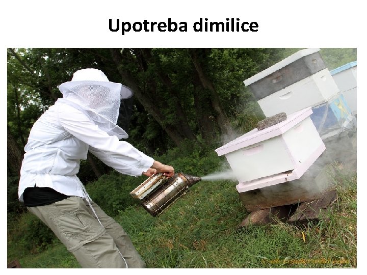 Upotreba dimilice 