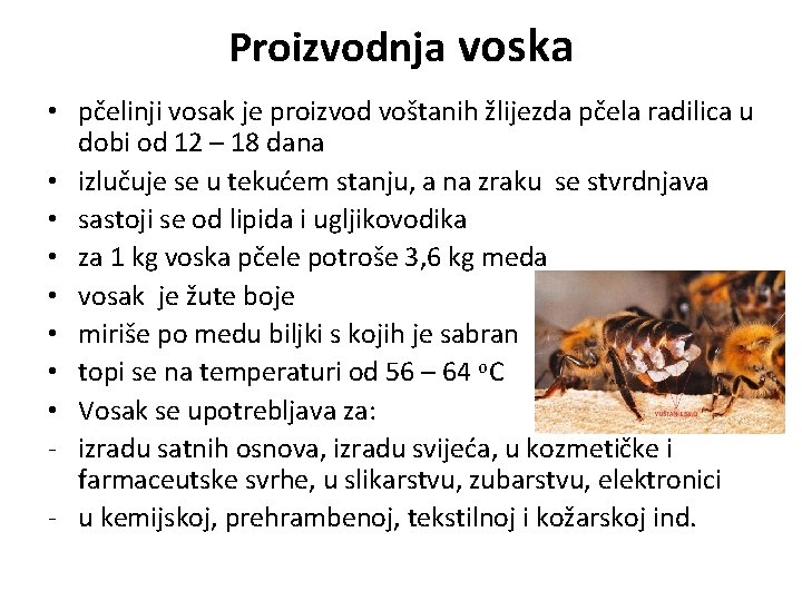 Proizvodnja voska • pčelinji vosak je proizvod voštanih žlijezda pčela radilica u dobi od