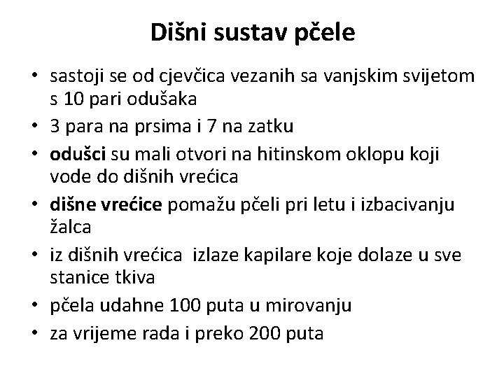 Dišni sustav pčele • sastoji se od cjevčica vezanih sa vanjskim svijetom s 10