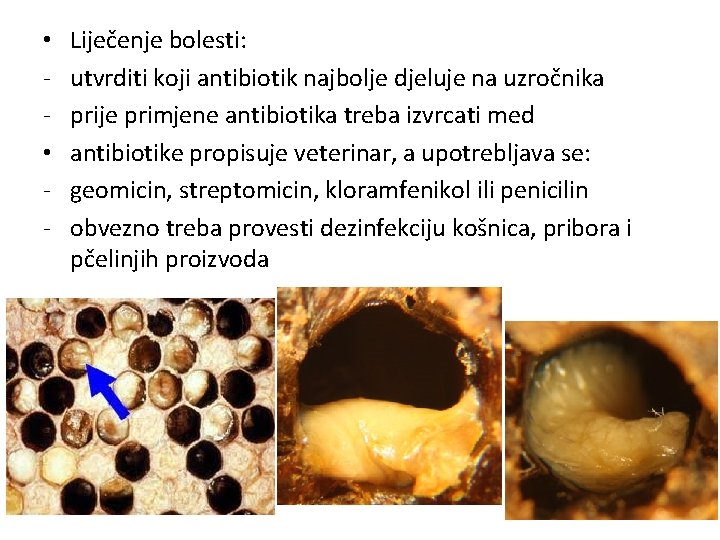  • • - Liječenje bolesti: utvrditi koji antibiotik najbolje djeluje na uzročnika prije