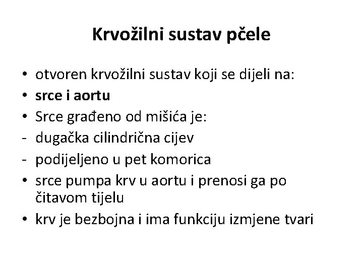 Krvožilni sustav pčele otvoren krvožilni sustav koji se dijeli na: srce i aortu Srce