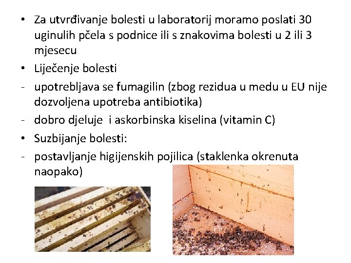  • Za utvrđivanje bolesti u laboratorij moramo poslati 30 uginulih pčela s podnice