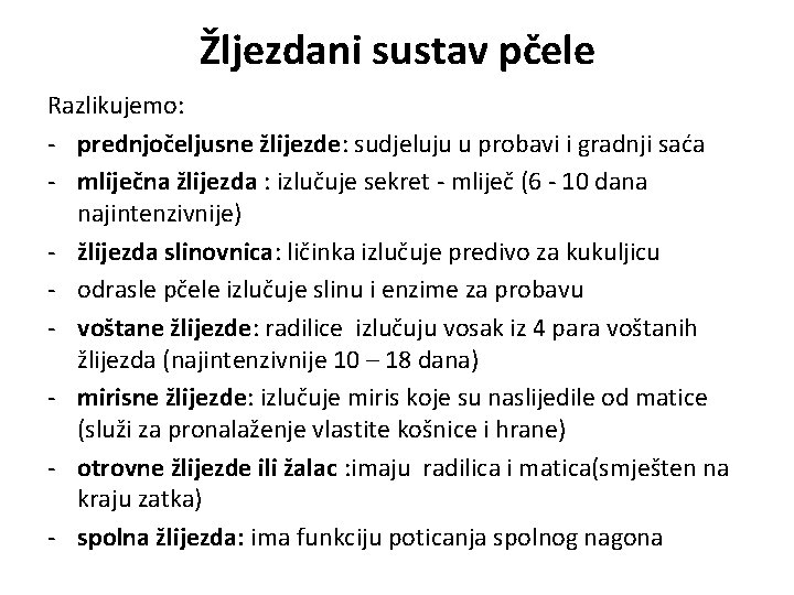 Žljezdani sustav pčele Razlikujemo: - prednjočeljusne žlijezde: sudjeluju u probavi i gradnji saća -