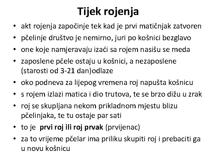 Tijek rojenja • • • akt rojenja započinje tek kad je prvi matičnjak zatvoren