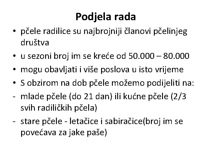 Podjela rada • pčele radilice su najbrojniji članovi pčelinjeg društva • u sezoni broj