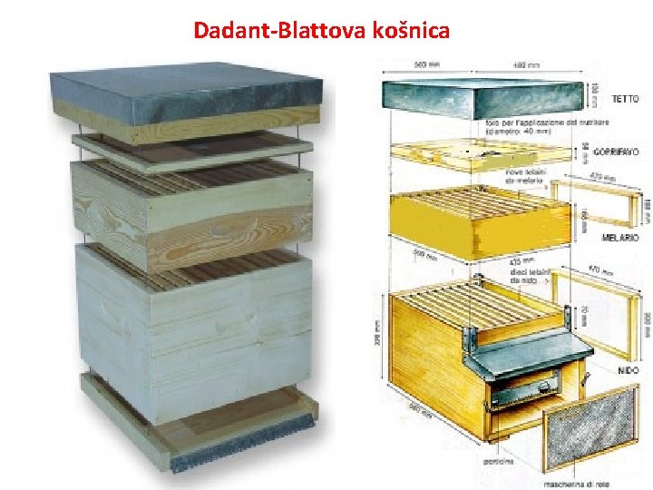 Dadant-Blattova košnica 