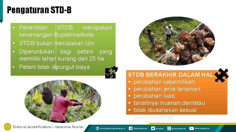 Pengaturan STD-B • Penerbitan STDB merupakan kewenangan Bupati/walikota • STDB bukan merupakan Izin •
