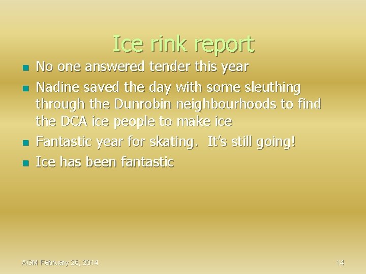 Ice rink report n n No one answered tender this year Nadine saved the