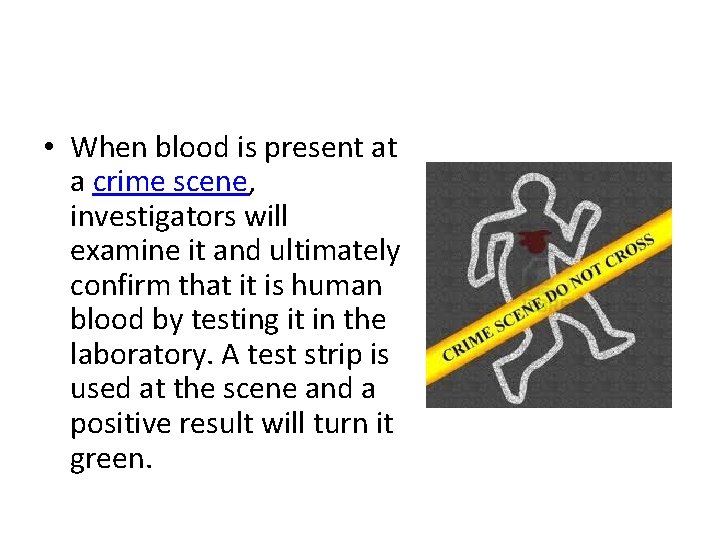  • When blood is present at a crime scene, investigators will examine it
