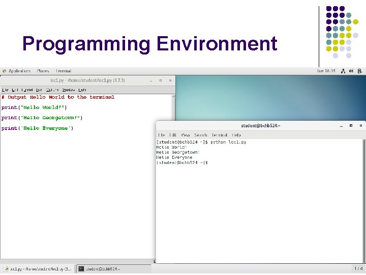 Programming Environment BCHB 524 - Edwards 