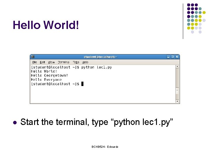 Hello World! l Start the terminal, type “python lec 1. py” BCHB 524 -