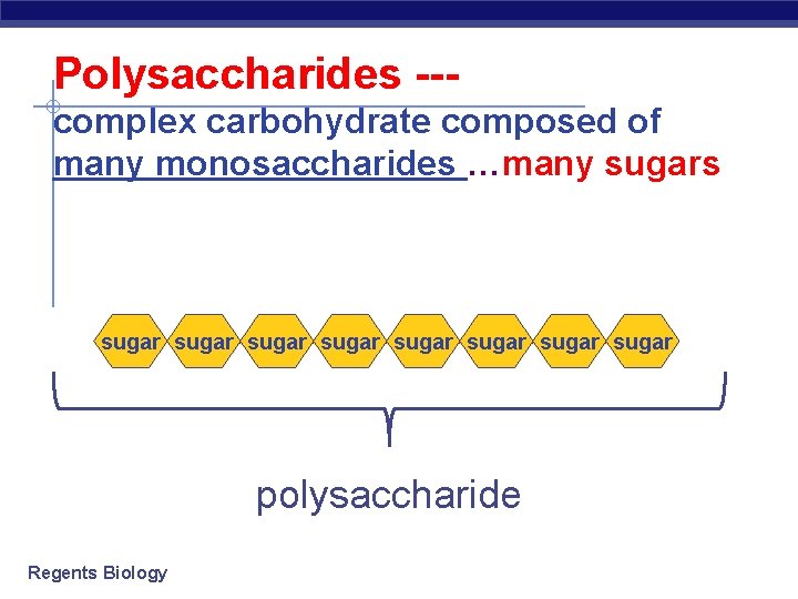 Polysaccharides --complex carbohydrate composed of many monosaccharides …many sugars sugar sugar polysaccharide Regents Biology
