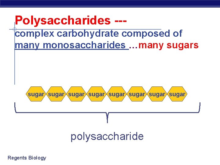 Polysaccharides --complex carbohydrate composed of many monosaccharides …many sugars sugar sugar polysaccharide Regents Biology