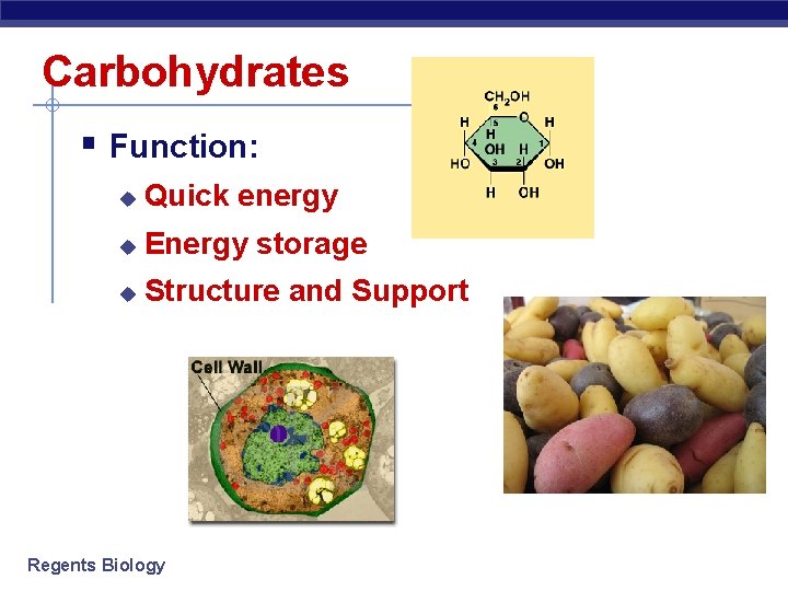 Carbohydrates § Function: u Quick energy u Energy storage u Structure and Support Regents