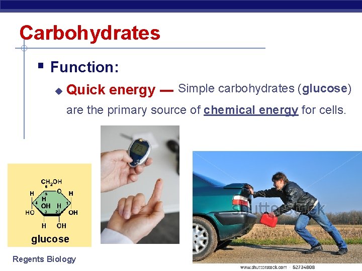 Carbohydrates § Function: u Quick energy --- Simple carbohydrates (glucose) are the primary source