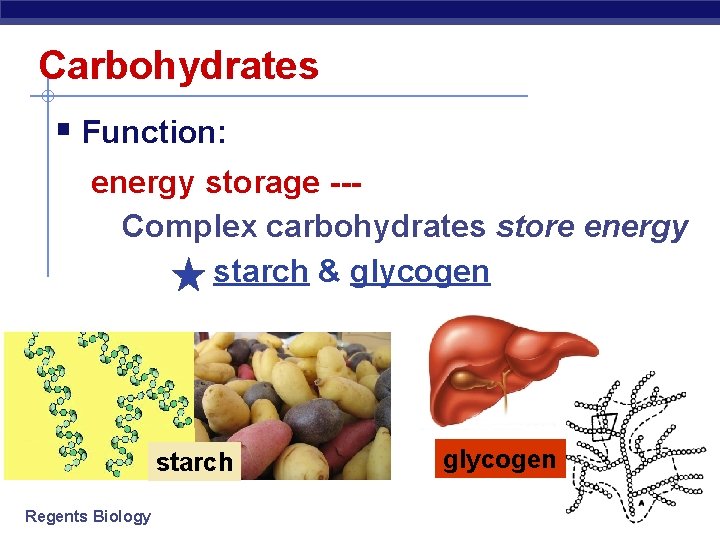 Carbohydrates § Function: energy storage --Complex carbohydrates store energy starch & glycogen starch Regents