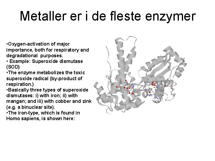 Metaller er i de fleste enzymer • Oxygen-activation of major importance, both for respiratory