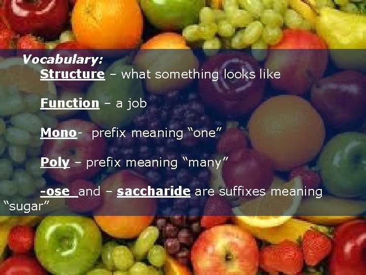 Vocabulary: Structure – what something looks like Function – a job Mono- prefix meaning
