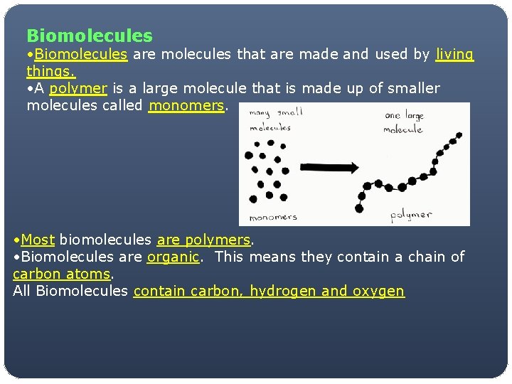 Biomolecules • Biomolecules are molecules that are made and used by living things. •