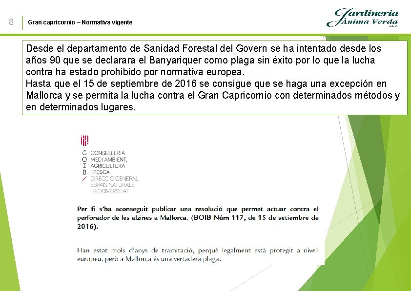 8 Gran capricornio – Normativa vigente Desde el departamento de Sanidad Forestal del Govern