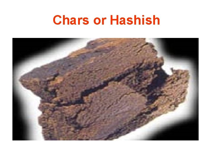 Chars or Hashish 