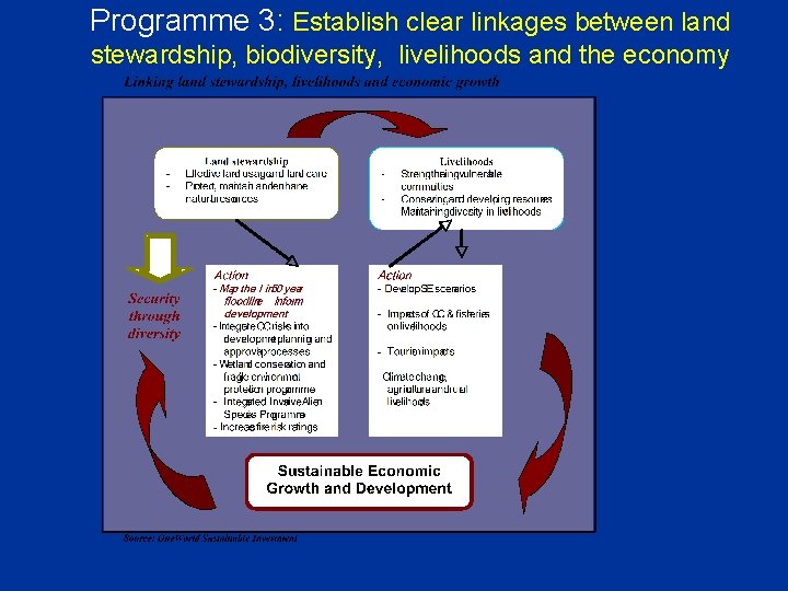 Programme 3: Establish clear linkages between land stewardship, biodiversity, livelihoods and the economy 