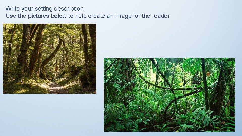 Write your setting description: Use the pictures below to help create an image for