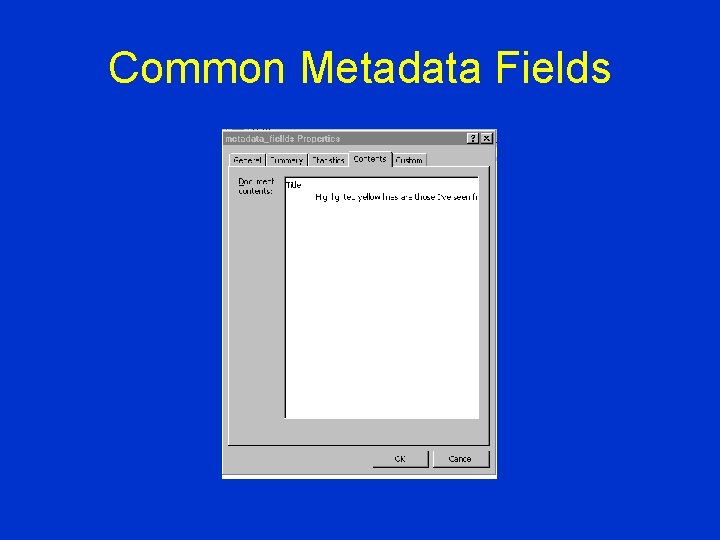 Common Metadata Fields 