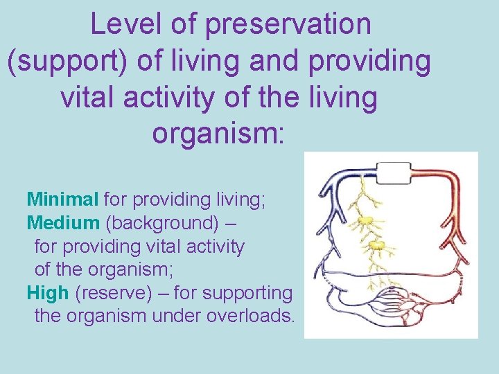 Level of preservation (support) of living and providing vital activity of the living organism: