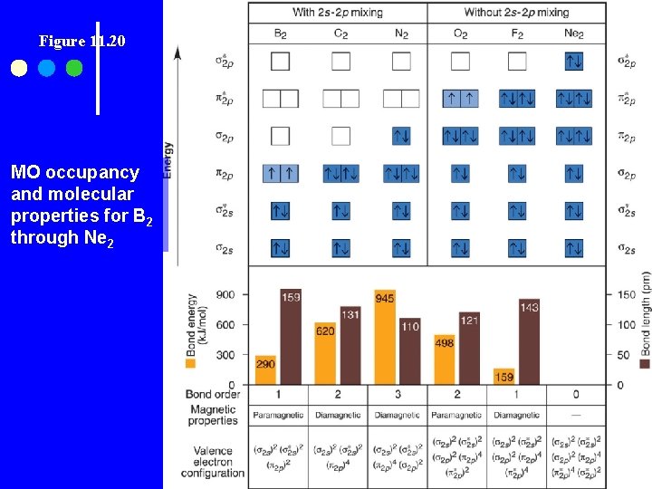 Figure 11. 20 MO occupancy and molecular properties for B 2 through Ne 2
