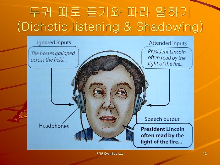 두귀 따로 듣기와 따라 말하기 (Dichotic listening & Shadowing) PNU Cognitive Lab 12 