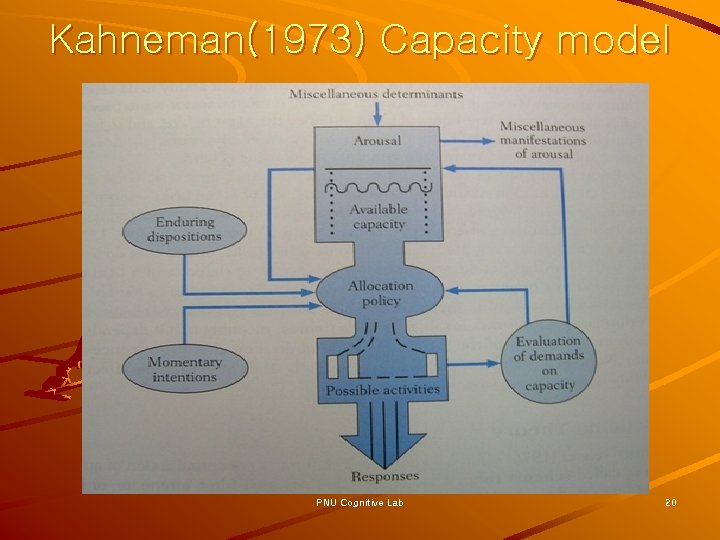 Kahneman(1973) Capacity model PNU Cognitive Lab 20 