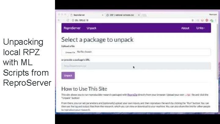 Unpacking local RPZ with ML Scripts from Repro. Server 