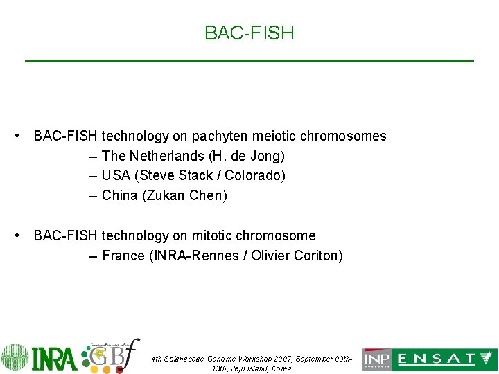 BAC-FISH • BAC-FISH technology on pachyten meiotic chromosomes – The Netherlands (H. de Jong)