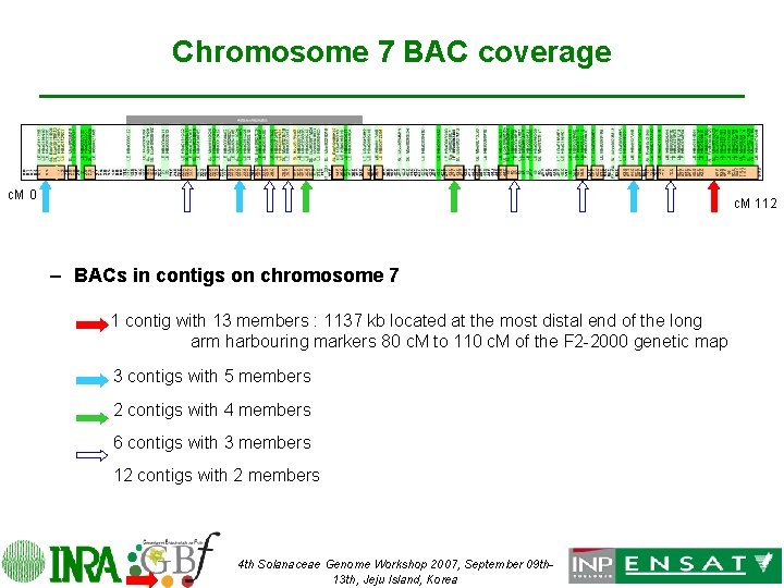 Chromosome 7 BAC coverage c. M 0 c. M 112 – BACs in contigs